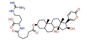 3-(N-Adipoyl argininyl)-hydroxydesacetylbufotalin